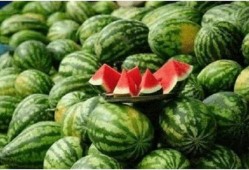 微信聊天背景吃瓜,一场视觉与话题的狂欢