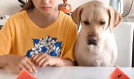 主人吃瓜比赛视频,一场惊心动魄的吃瓜大赛精彩瞬间