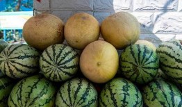 哪里的吃瓜好吃,揭秘哪里的吃瓜最地道