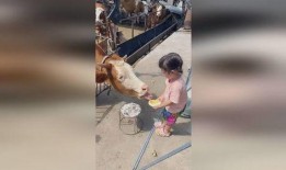 奶奶终于舍得吃瓜,终于舍得品尝瓜果的喜悦时刻