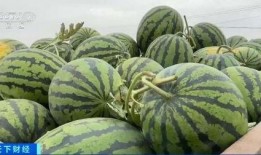 朱志明吃瓜,揭秘娱乐圈幕后故事