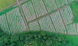 新余全季吃瓜,一场味蕾与视觉的双重盛宴