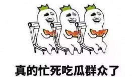 再见吃瓜群众介绍,揭秘网络围观背后的真相与反思