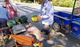 莆田吃瓜群众在路上,吃瓜群众的热议瞬间