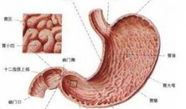吃籽瓜治胃炎,天然良方助您缓解胃炎困扰