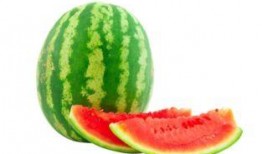 吃籽的小瓜,探索吃籽小瓜的奇妙之旅