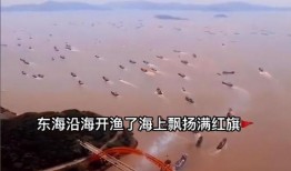 渔船吃瓜地图,探寻海洋中的甜蜜秘密