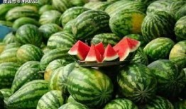 看见吃瓜的人,吃瓜者的生活剪影