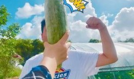 网红吃瓜星,揭秘娱乐圈幕后真相