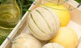 二三里吃瓜比赛,一场舌尖上的狂欢盛宴