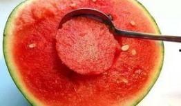 吃瓜群都是吃的啥,吃瓜群的热门瓜类大盘点