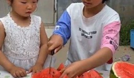 梦见给婆婆吃瓜,瓜果飘香，婆媳情深