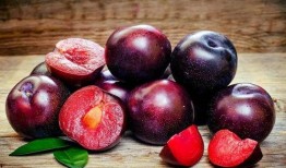 吃瓜蒙主李子染,揭秘网络红人的魅力与争议