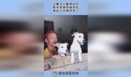 吃瓜的沙雕id,揭秘娱乐圈那些不为人知的幕后故事