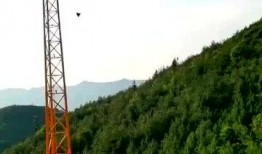 秋千吃瓜,探寻秋千下的悠闲时光