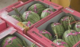 全网福利吃瓜收藏,揭秘热门事件幕后真相！