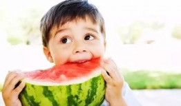 淘吃瓜,揭秘网络美食圈的热门话题与美食攻略