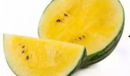 南宁行健吃瓜,一场别开生面的“吃瓜”盛宴