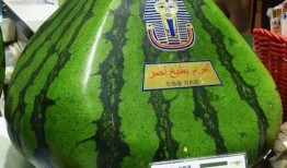 在地球吃瓜,探寻全球特色瓜果之旅