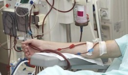 透析病人吃角瓜,透析患者食用角瓜的健康益处与注意事项