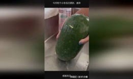 小冬瓜吃瓜,小冬瓜的甜蜜瓜果之旅