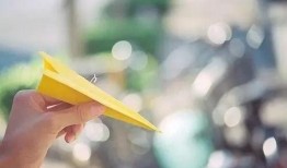 纸飞机吃瓜群,揭秘网络社交圈的趣味与智慧