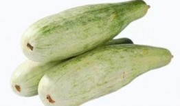 梦见羊吃瓜,羊儿瓜田乐逍遥