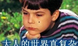 为爱勇敢吃瓜,揭秘娱乐圈甜蜜瓜田