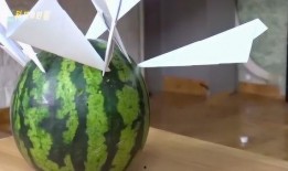 纸飞机吃瓜,瓜香四溢的夏日时光