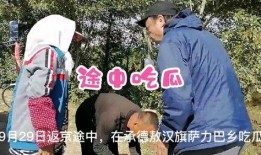 敖汉吃瓜事件视频,一场网络热议的真相揭秘