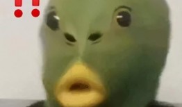 吃瓜路人表情头像,揭秘网络社交中的“围观”文化