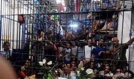 犯人吃警察的瓜,犯人吃警察瓜的惊人真相揭秘