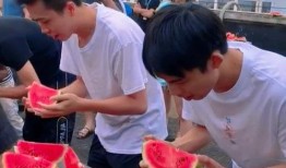 校园吃瓜大赛规则,舌尖上的狂欢，揭秘校园美食风云录