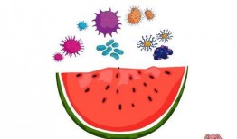 安全官吃瓜网,网络安全界的“八卦”风云