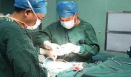 透析病人吃角瓜,透析患者食用角瓜的健康益处与注意事项