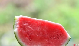 死亡吃瓜,揭秘网络暴力的暗黑面