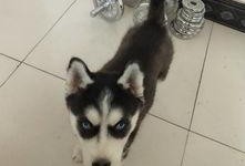 瓜子吃瓜哈,欢乐无限，一起哈皮！