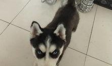 瓜子吃瓜哈,欢乐无限，一起哈皮！