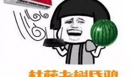 吃瓜群众爱吃瓜君