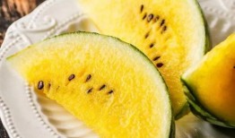 纸飞机吃瓜,瓜香四溢的夏日时光