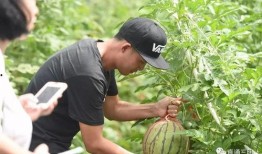 吃瓜过来健身,见证蜕变之旅