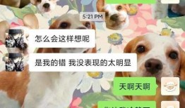 吃瓜变吃狗粮,娱乐圈的甜蜜与苦涩