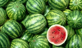 吃瓜游客视频大全,带你领略各地风情