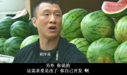 华强买瓜吃视频原版,一场别开生面的网络直播盛宴