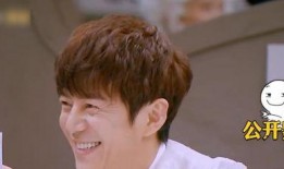 上综艺吃瓜系统,明星幕后故事全解析