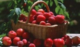 吃瓜蒙主李子染,揭秘网络红人的魅力与争议